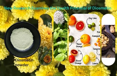Các nhà nghiên cứu kiểm tra vai trò tiềm năng của Diosmetin trong việc chống ...