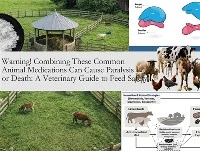 Cảnh báo! Kết hợp các loại thuốc thông thường dành cho động vật này có thể gâ...