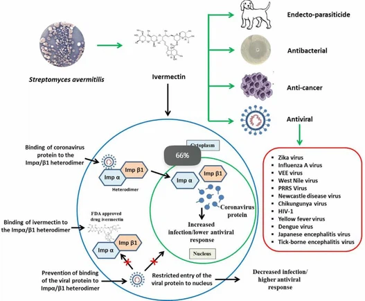53Veterinary ivermectin powder A 53Veterinary ivermectin powder A